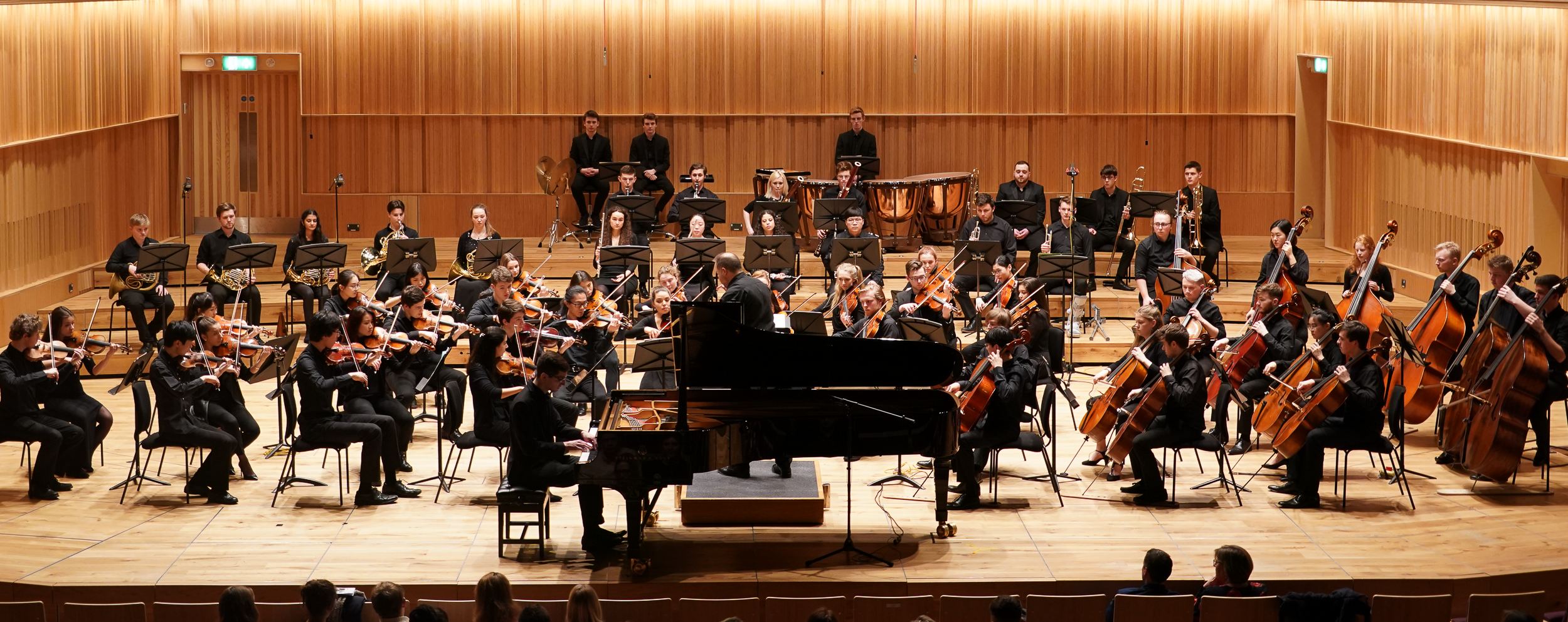 Orchestra pic cropped top png